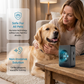 Dispositif anti-aboiements à ultrasons pour chiens