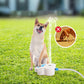 🐾💧⛲ Fontaine à eau pour chiens actionnée par la patte 🐶✨