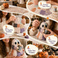 🧵👻KIT DIY PATCHWORK HALLOWEEN – PETIT FANTÔME COSY ET CRÉATIF