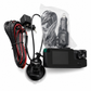 Caméra embarquée 1080P à 3 canaux pour voiture
